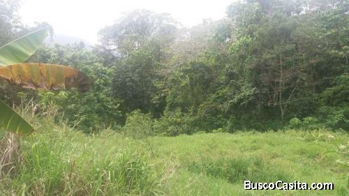 Solar de venta en Jarabacoa RES-131
