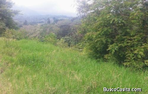 Solar de venta en Jarabacoa RES-130