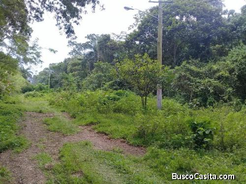 Solar de venta en Jarabacoa RES-129