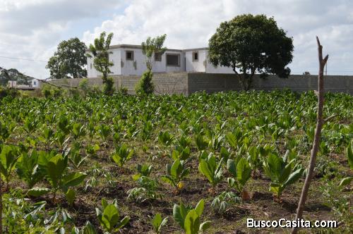 Solar de venta en el Sector los Perez. RES-106