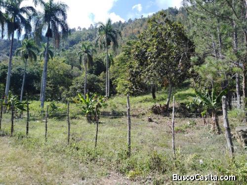 Terreno a la Venta en Jarabacoa, Proyecto los Pinares.  RES-134D