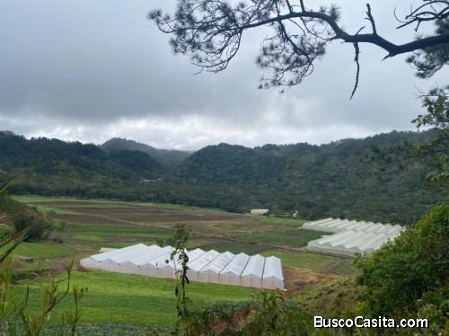 FINCA DE 10,000 TAREAS AGRÍCOLAS DE VENTA EN OCOA
