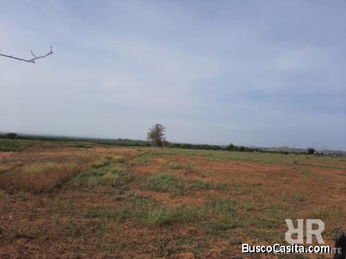 FINCA DE 2,800 TAREAS APTAS PARA GUINEOS EN MONTECRISTI