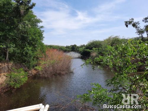 FINCA LISTA PARA SIEMBRA DE GUINEOS EN MONTE CRISTI