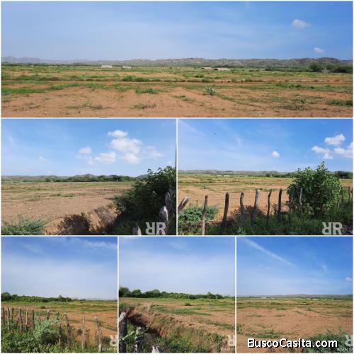 TERRENO DE 3,350 TAREAS APTAS PARA SIEMBRA DE VENTA EN MONTECRISTI