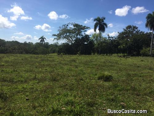 FINCA DE 580 TAREAS DE VENTA EN CASTILLO
