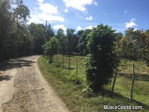 FINCA DE 140 TAREAS DE VENTA EN CASTILLO