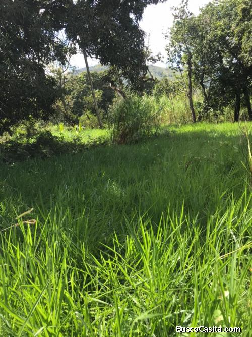 FINCA DE 150 TAREAS CON CASA DE VENTA EN BONAO