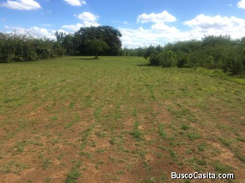 FINCA DE 370 TAREAS DE VENTA EN MONTE PLATA