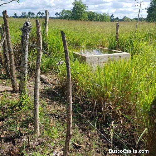 FINCA DE 360 TAREAS DE VENTA EN MONTE PLATA