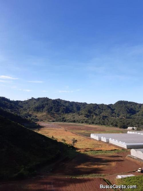 FINCA DE 7,800 TAREAS AGRÍCOLAS EN SAN JOSÉ DE OCOA