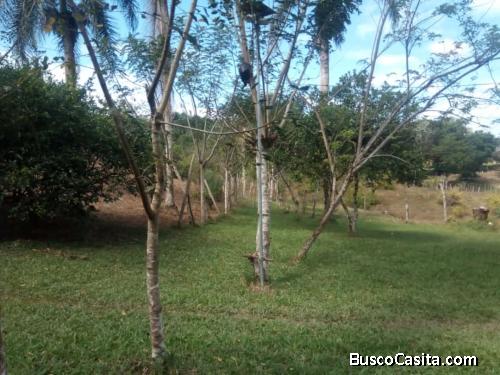 FINCA DE 101 TAREAS CON CASA DE VENTA EN BONAO