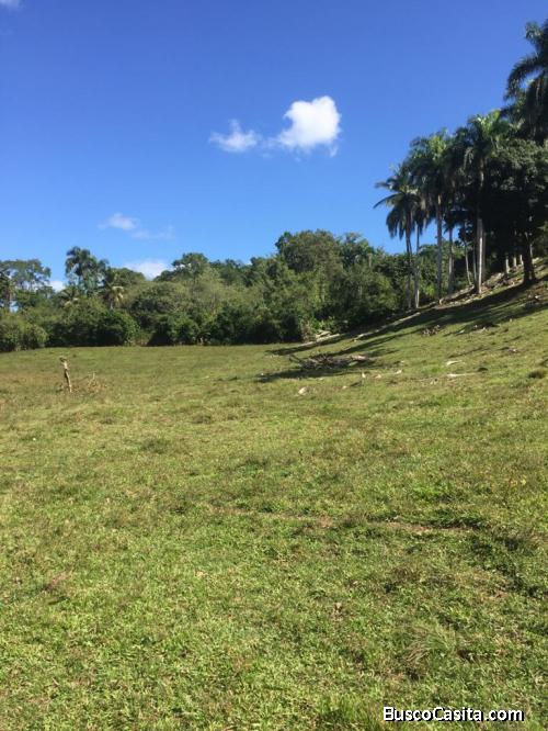 FINCA DE 580 TAREAS DE VENTA EN CASTILLO