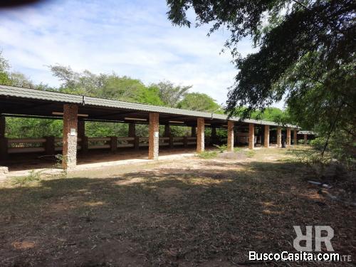 FINCA LISTA PARA SIEMBRA DE GUINEOS EN MONTE CRISTI