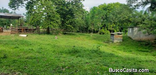 FINCA DE 150 TAREAS CON CASA DE VENTA EN BONAO