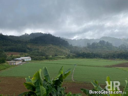 FINCA DE 10,000 TAREAS AGRÍCOLAS EN SAN JOSÉ DE OCOA