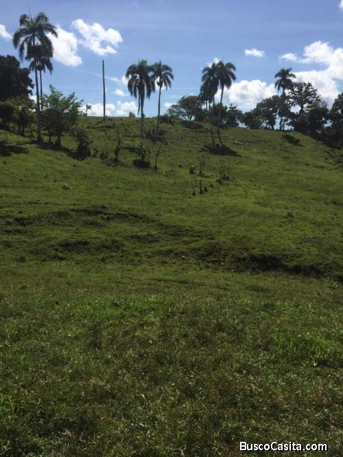 FINCA DE 580 TAREAS DE VENTA EN CASTILLO