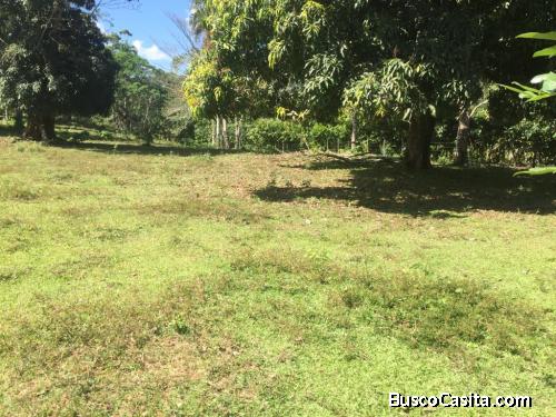 FINCA DE 140 TAREAS DE VENTA EN CASTILLO