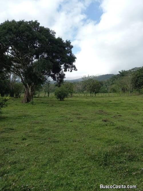 FINCA DE 81 TAREAS CON CASA Y RÍO DE VENTA EN BONAO
