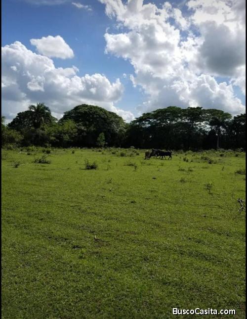FINCA DE 1162 TAREAS DE VENTA EN SAN FRANCISCO DE MACORÍS