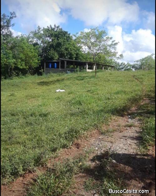 FINCA DE 987 TAREAS DE VENTA EN MONTE PLATA