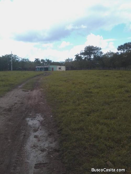 FINCA DE 200 TAREAS DE VENTA EN MONTE PLATA