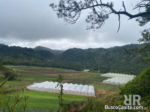 FINCA AGRÍCOLA DE 10,000 TAREAS DE VENTA EN SAN JOSE DE OCOA