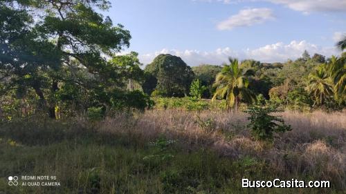 FINCA DE 20,000 TAREAS DE VENTA EN MONTE PLATA