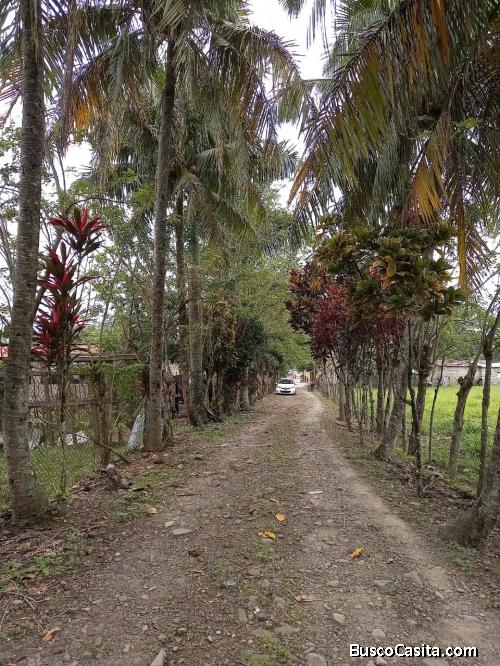 FINCA DE 126 TAREAS CON CASA Y RÍO DE VENTA EN BONAO
