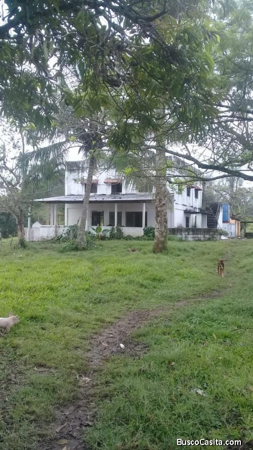 FINCA DE 500 TAREAS AGRÍCOLA Y GANADERA DE VENTA EN BONAO