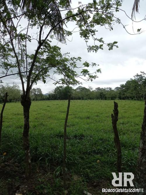 FINCA DE 126 TAREAS CON CASA Y RÍO DE VENTA EN BONAO
