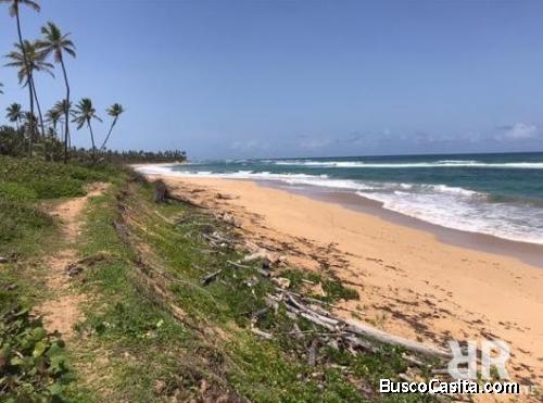 TERRENO DE 4,500 METROS FRENTE A LA PLAYA EN PUNTA CANA