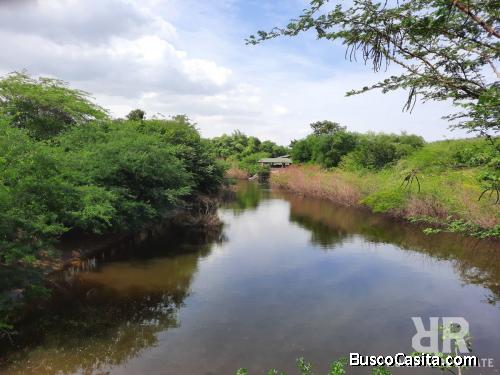 FINCA LISTA PARA SIEMBRA DE GUINEOS EN MONTE CRISTI