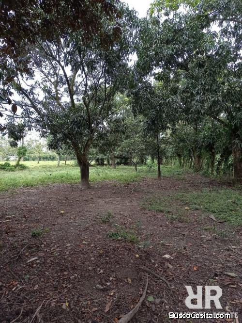 FINCA DE 126 TAREAS CON CASA Y RÍO DE VENTA EN BONAO