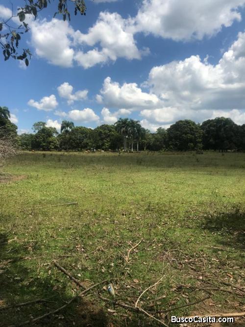 FINCA DE 1,300 TAREAS DE VENTA EN MONTE PLATA