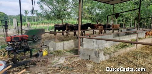 FINCA DE 150 TAREAS CON CASA DE VENTA EN BONAO