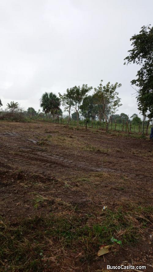 Se venden solares desde 1 tarea en chavon abajo en la romana- 
