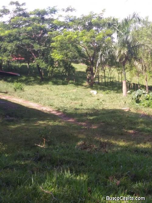 FINCA DE 987 TAREAS DE VENTA EN MONTE PLATA