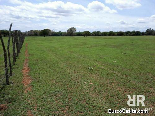 FINCA DE 2,000 TAREAS DE VENTA EN MONTE CRISTI