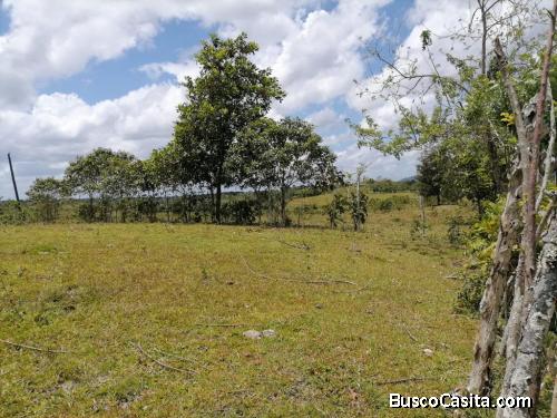 FINCA DE 150 TAREAS DE VENTA EN MONTE PLATA