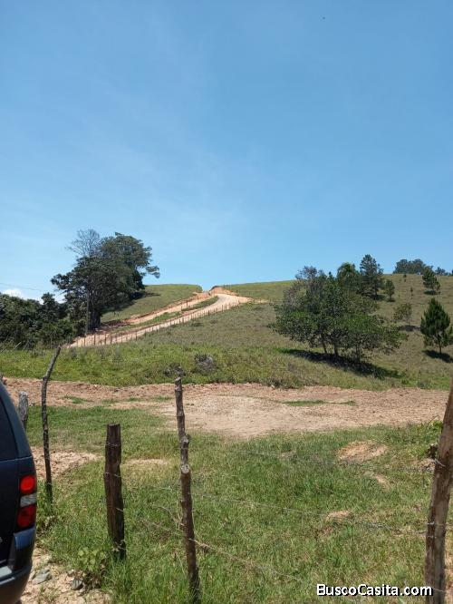 TERRENOS CON HERMOSAS VISTAS DE VENTA EN JARABACOA