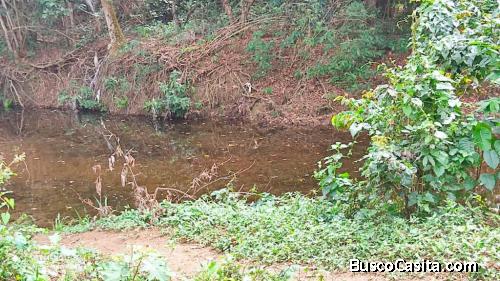 FINCA DE 20,000 TAREAS DE VENTA EN MONTE PLATA