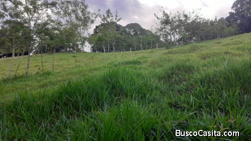 FINCA DE 150 TAREAS CON CASA DE VENTA EN BONAO
