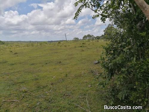 FINCA DE 150 TAREAS DE VENTA EN MONTE PLATA