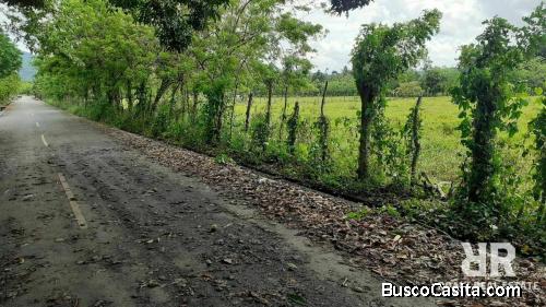 FINCA DE 295 TAREAS LLANAS DE VENTA EN BONAO