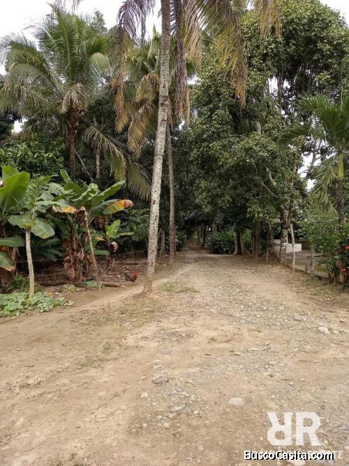 FINCA DE 126 TAREAS CON CASA Y RÍO DE VENTA EN BONAO