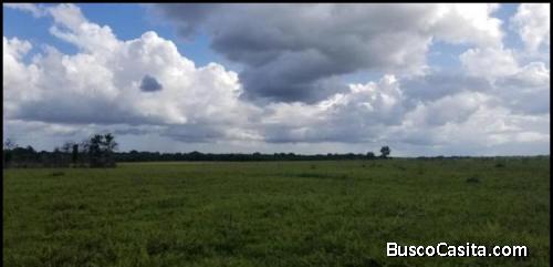 FINCA DE 1,162 TAREAS DE VENTA EN SAN PEDRO DE MACORIS