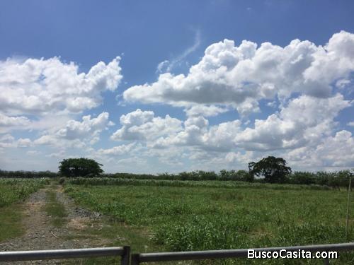 FINCA DE 705 TAREAS DE VENTA EN SAN FRANCISCO DE MACORÍS