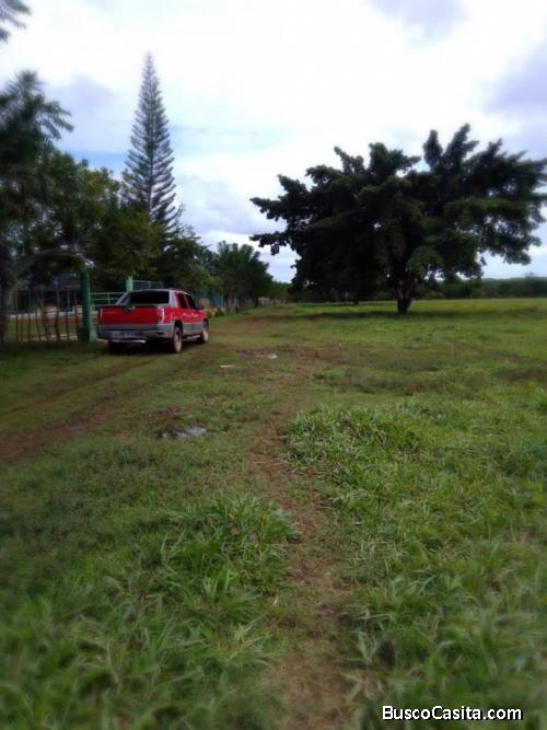 FINCA DE 3,400 TAREAS DE VENTA EN MONTE PLATA