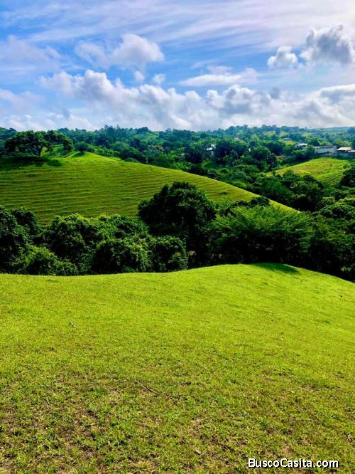 TERRENOS DE 10 TAREAS DE VENTA EN JARABACOA